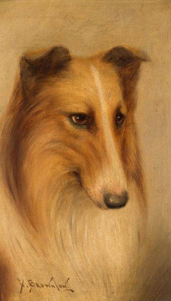 Detail of Collie by George Washington Brownlow