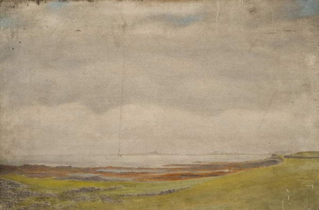 Detail of Holy Island by Daniel Oliver