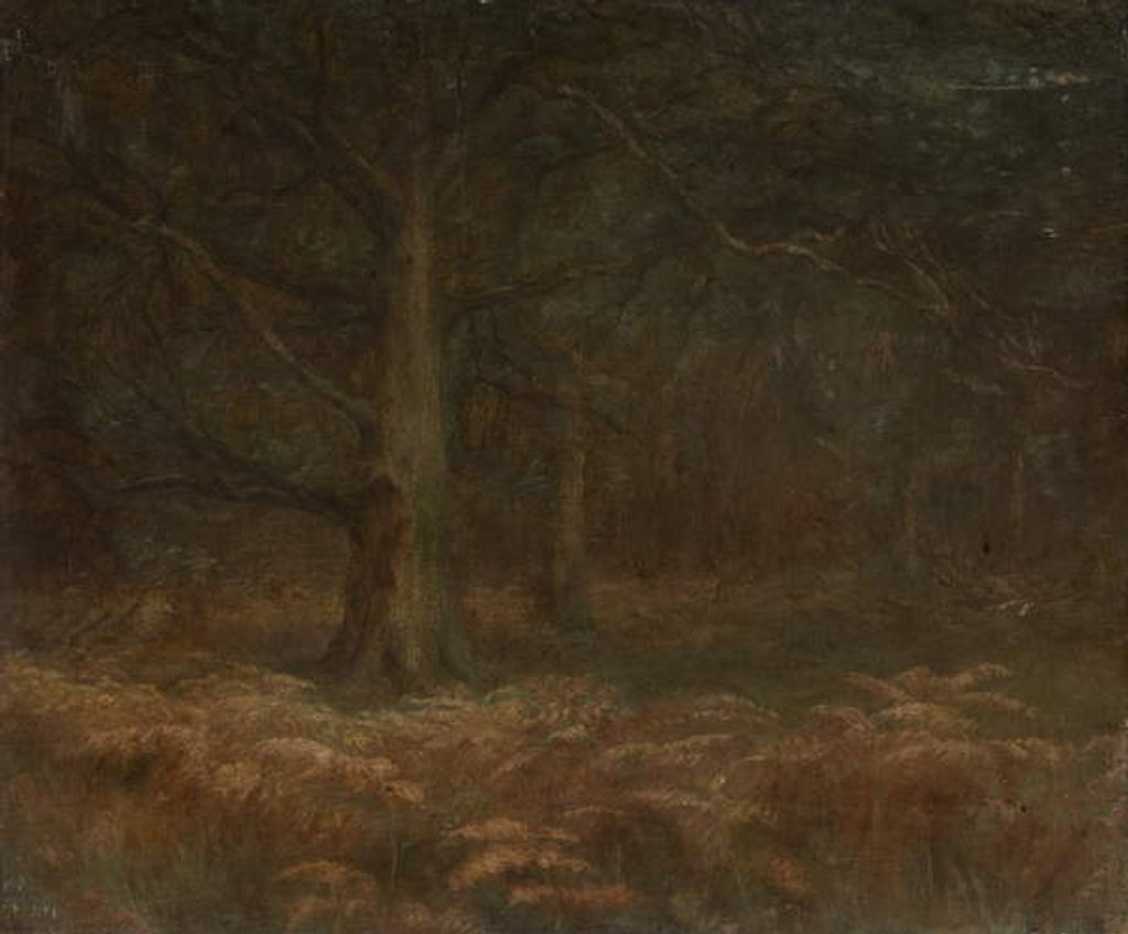 Detail of Study of Trees by School English