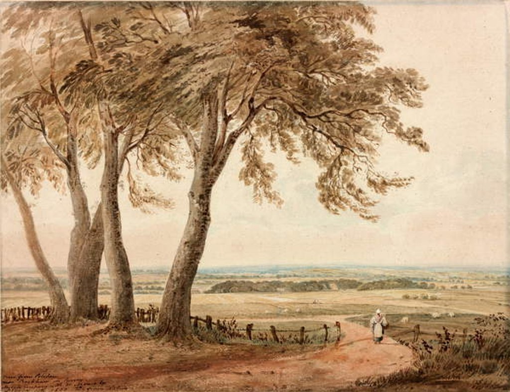 Detail of View from Polsden near Bookham in Surrey, 1800 by John Varley