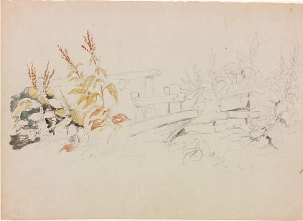 Detail of Nature Study by John Wilson Carmichael