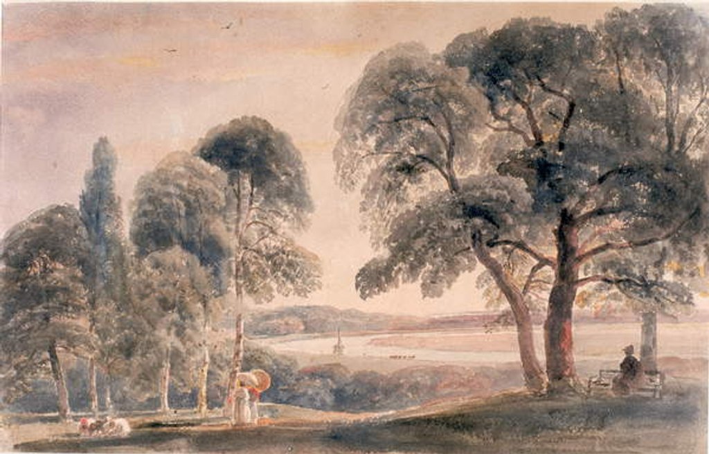 Detail of Weybridge Meadows by Peter de Wint