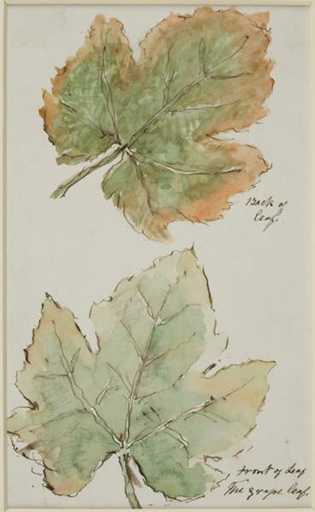 Detail of The Grape Leaf by John Wilson Carmichael