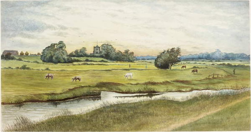 Detail of Ryton Meadows by James Henry Cleet