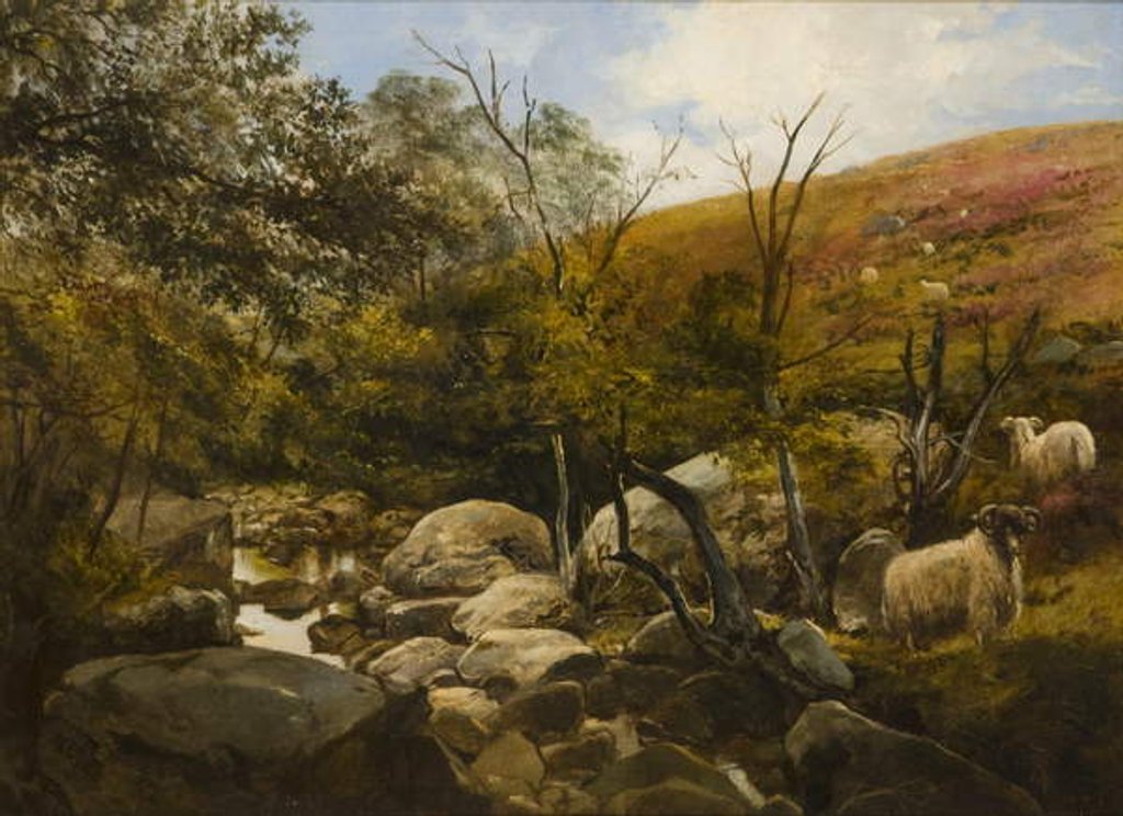 Detail of On the Black Burn, near Rothbury by Robinson Elliott