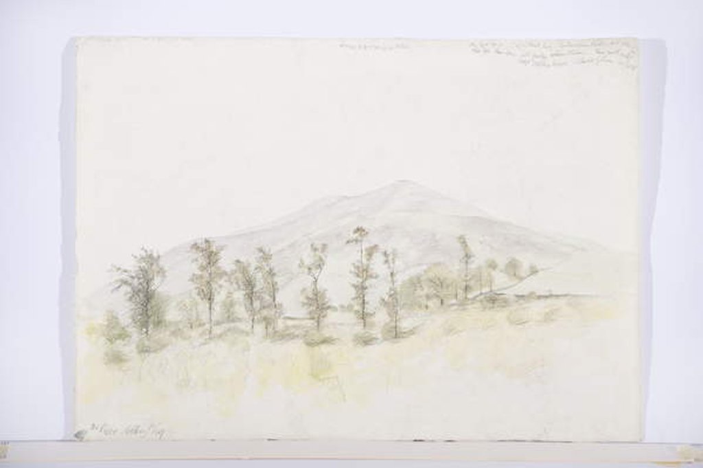 Detail of Near New Abbey, c.1916 by Daniel Oliver