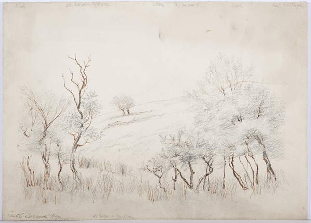 Detail of Castle Carrock by Daniel Oliver