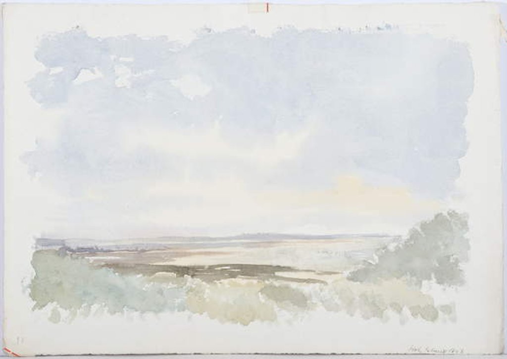 Detail of Holy Island, 1893 by Daniel Oliver