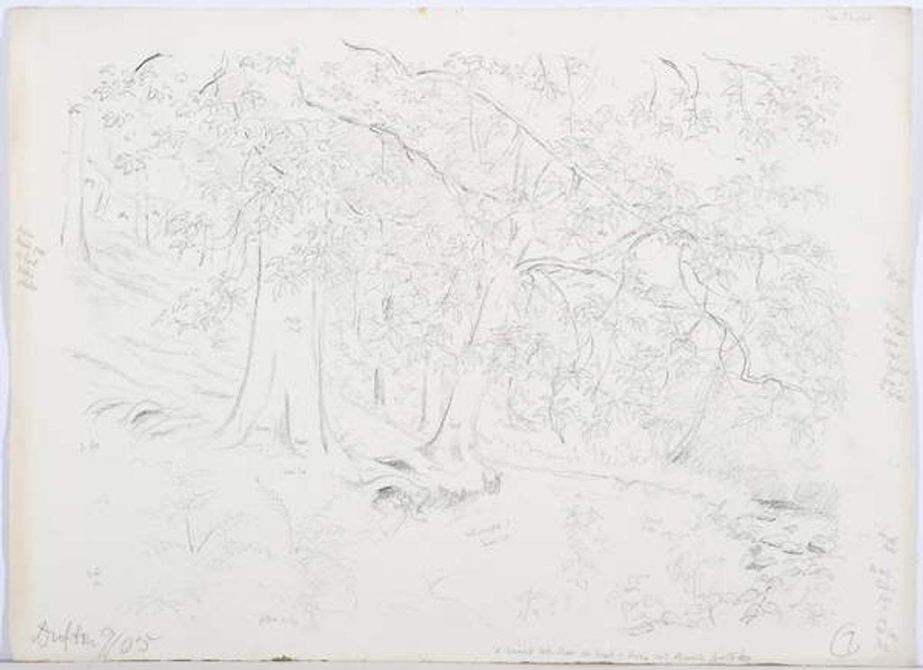 Detail of c.1916 by Daniel Oliver