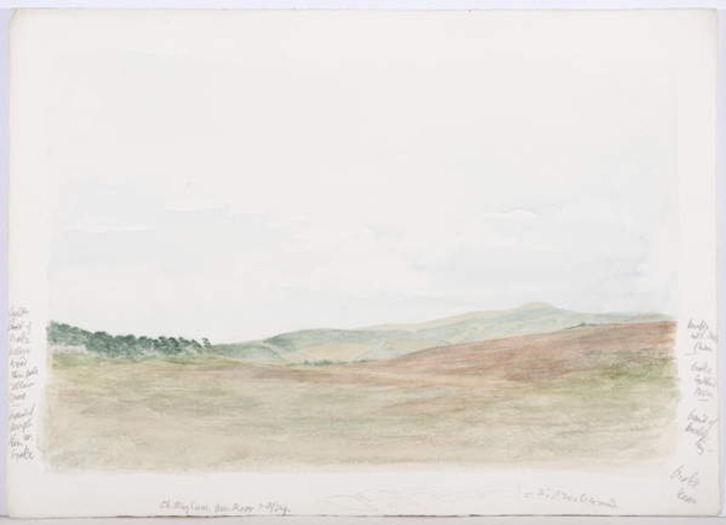Detail of c.1916 by Daniel Oliver