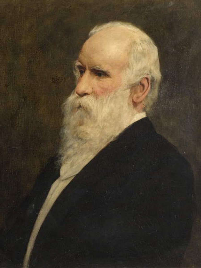 Detail of Portrait of Robert Stirling Newall by English School