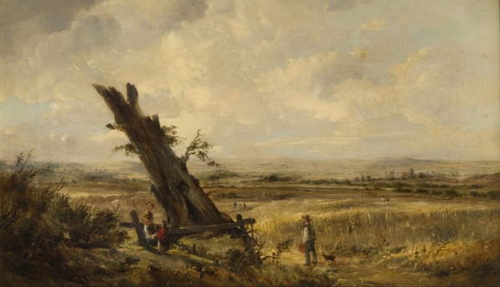 Detail of Landscape with Cornfield by John (attr.) Linnell