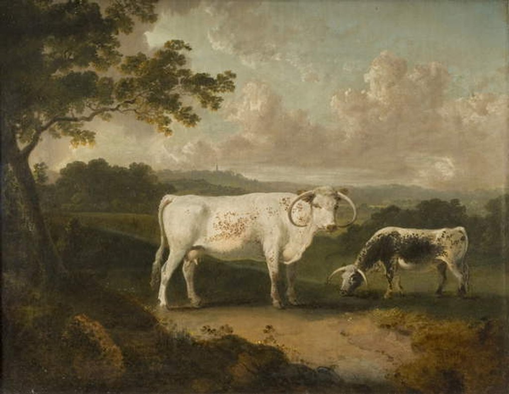 Detail of Kenwood, Lord Mansfield's Pedigree Cattle, 1797 by Julius Caesar Ibbetson