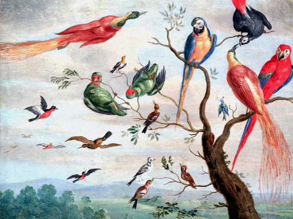 Detail of The Chorus of Birds, c.1650-1675 by Jan Thomasz. van Kessel