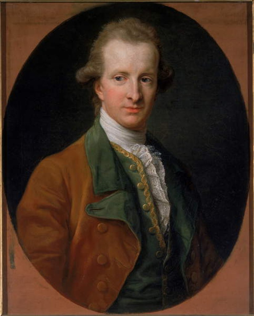 Detail of Henry Swinburne, 1779 by Pompeo Girolamo Batoni