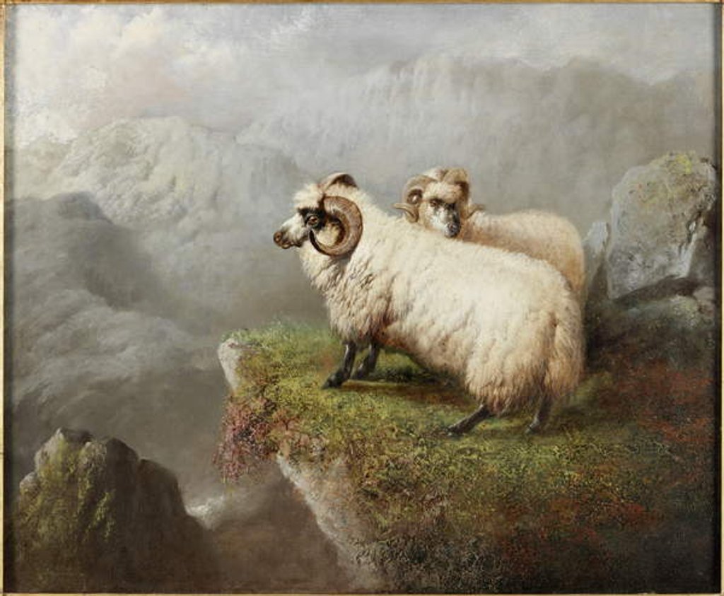 Detail of Sheep on a Cliff Edge, c.1865-68 by George Hepper