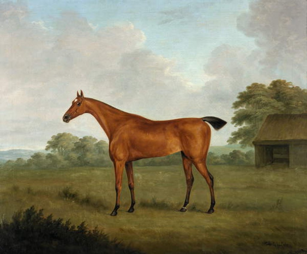 Detail of Chestnut Horse in a Landscape, 1815 by John Nost Sartorius