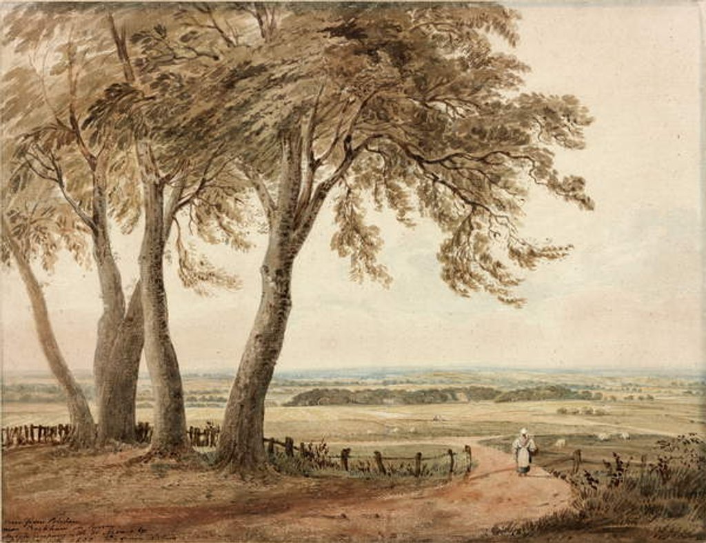 Detail of View from Polesden, Surrey, 1800 by John Varley