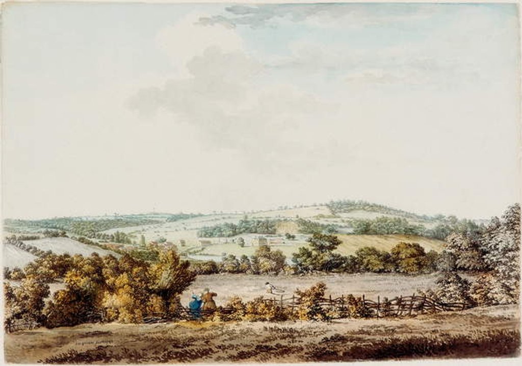 Detail of The Old House at the Grange and Barber Wood, 1787 by Samuel Hieronymous Grimm