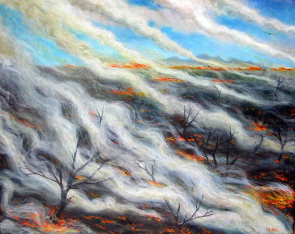 Detail of Scorched Earth, 2014, by Tilly Willis