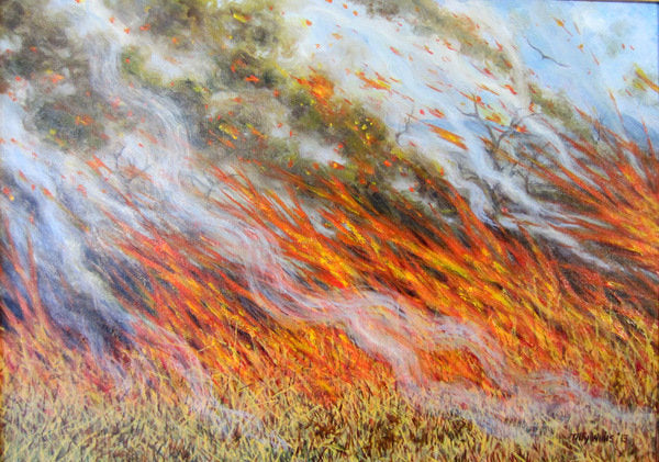 Detail of Bushfire Inferno, 2014 by Tilly Willis