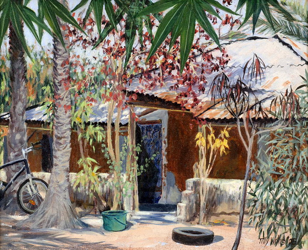 Detail of Samba's House, 2005 by Tilly Willis