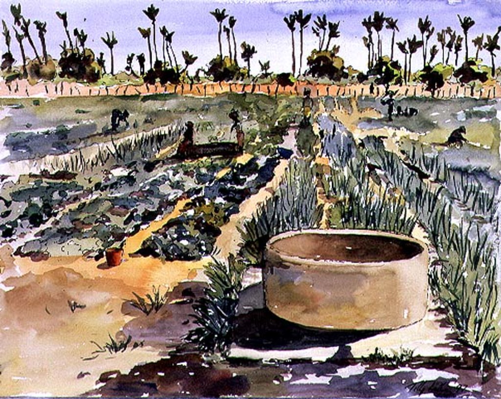 Detail of The Women's Garden, Senegal, West Africa, 1997 by Tilly Willis