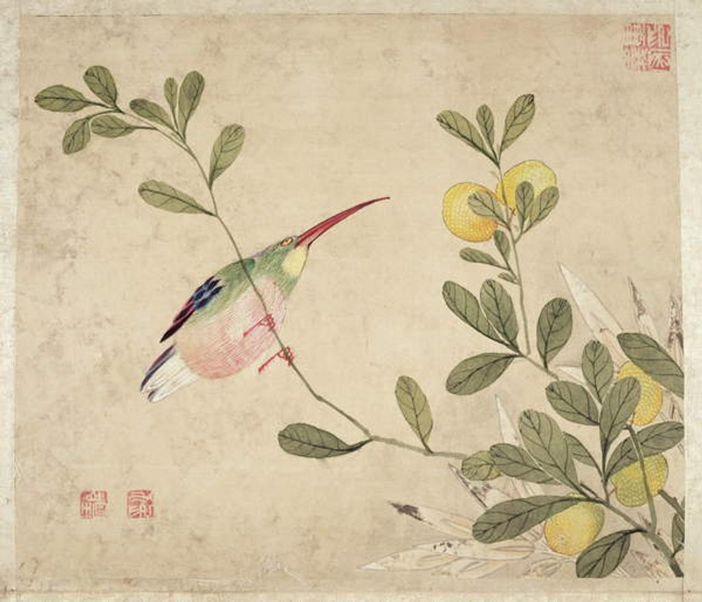 Detail of One of a series of paintings of birds and fruit, late 19th century by Guochen Wang