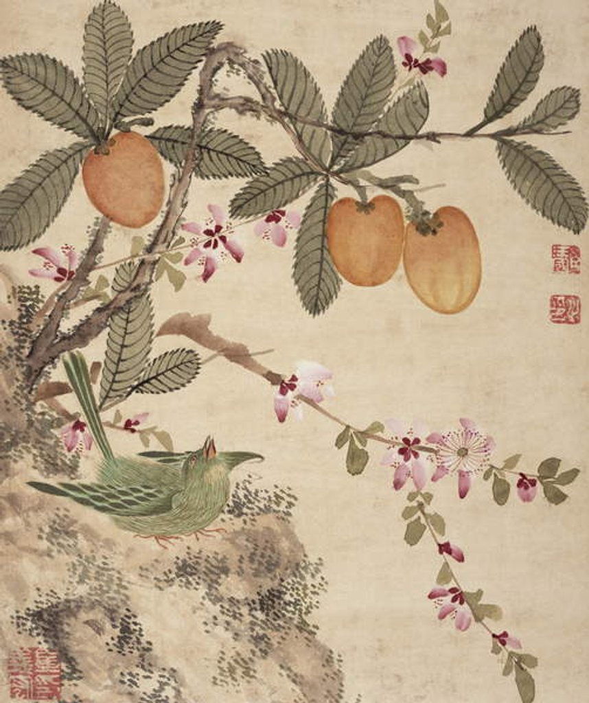 Detail of One of a series of paintings of birds and fruit, late 19th century by Guochen Wang