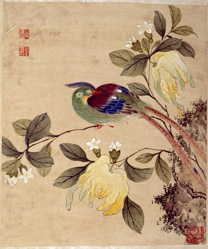 Detail of One of series of paintings of birds and fruit, late 19th century by Guochen Wang