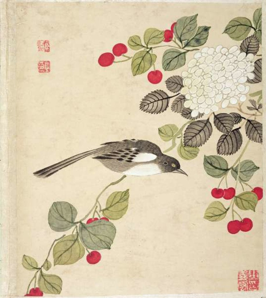 Detail of One of a series of paintings of birds and fruit, late 19th century by Guochen Wang