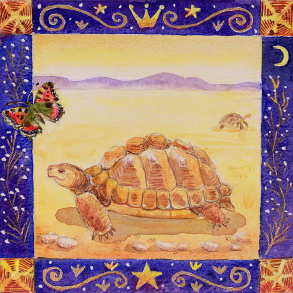 Detail of Tortoise, 1998 by Vivika Alexander