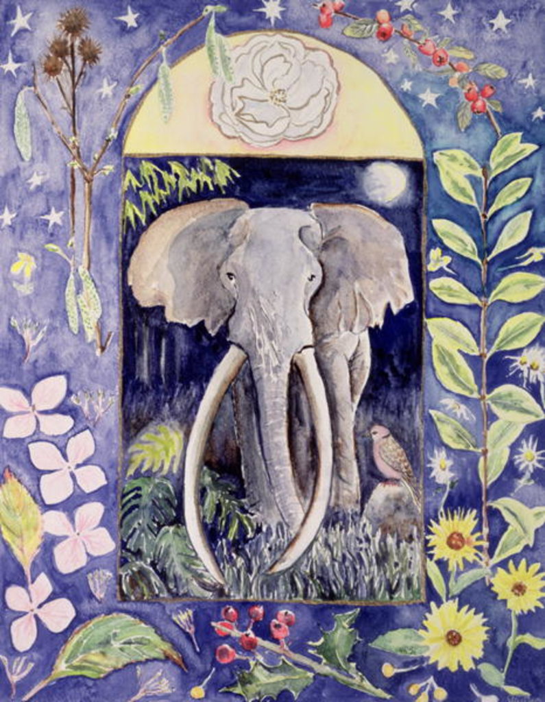 Detail of Ahmed by Vivika Alexander