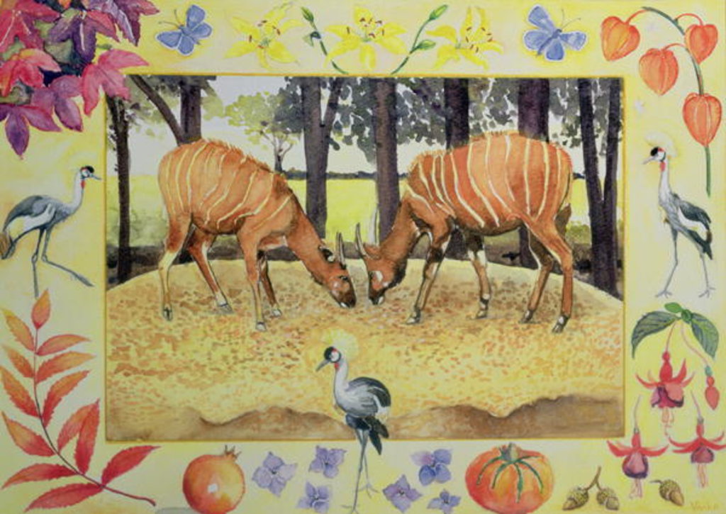 Detail of Bongo by Vivika Alexander