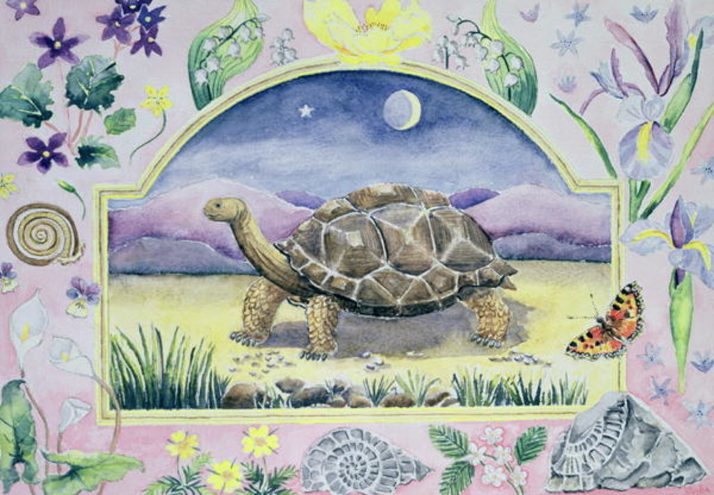 Detail of Giant Tortoise by Vivika Alexander