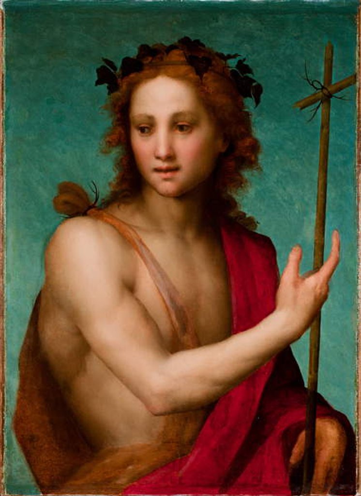 Detail of St. John the Baptist, c.1517 by Andrea del Sarto
