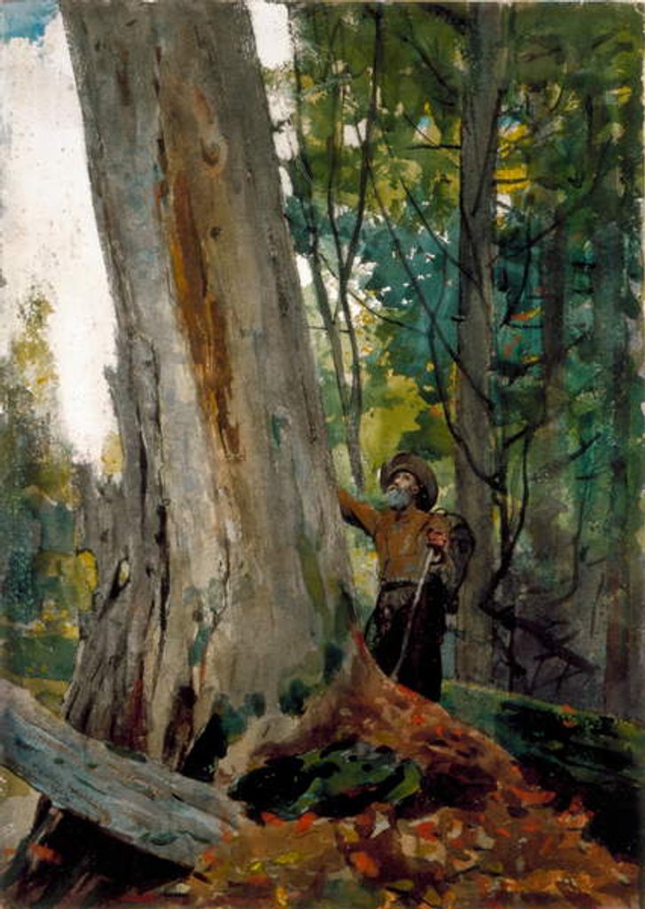 Detail of Old Friends, 1894 by Winslow Homer