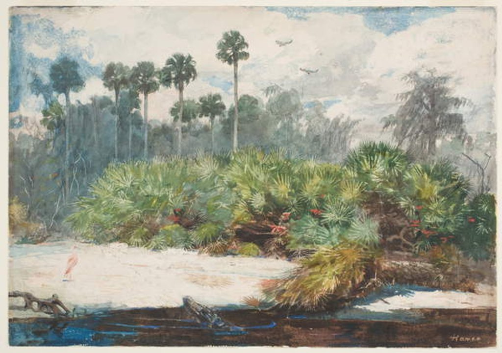 Detail of In a Florida Jungle by Winslow Homer