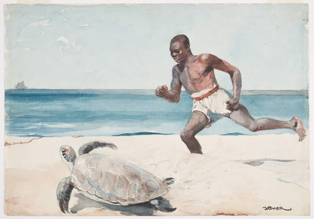 Detail of Rum Cay by Winslow Homer