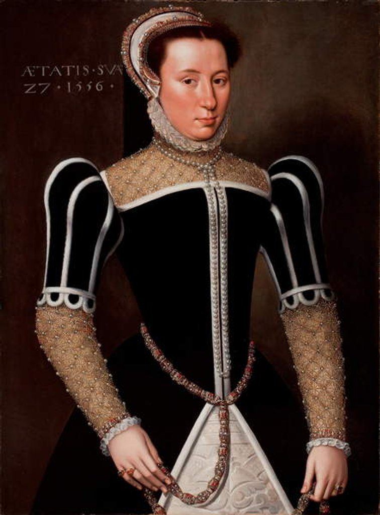 Detail of Portrait of a Woman, 1556 by Flemish School