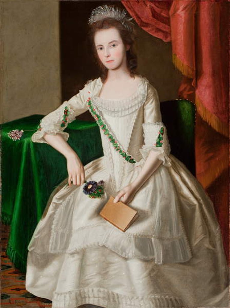Detail of Portrait of Mary Ann Carpenter Mrs Thomas Forster, 1779 by Ralph Earl