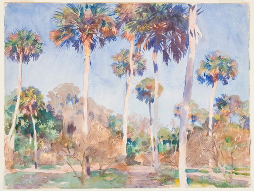 Detail of Palms, 1917 by John Singer Sargent