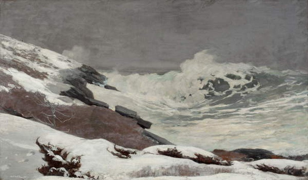 Detail of Coast in Winter, 1892 by Winslow Homer