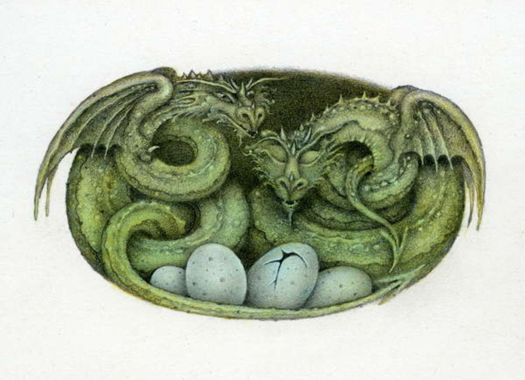 Detail of Amphisbaena, 1992 by Wayne Anderson