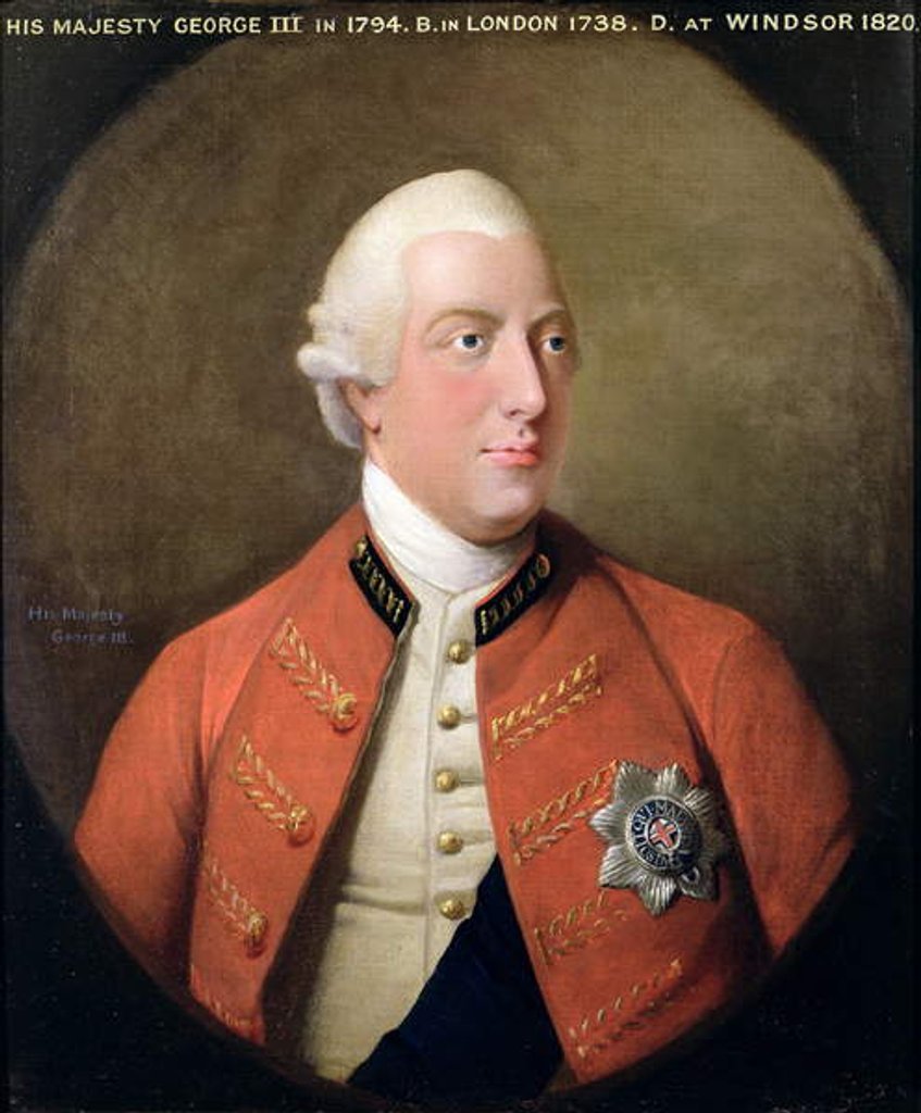 Detail of Portrait of George III 1794 by David Dodd