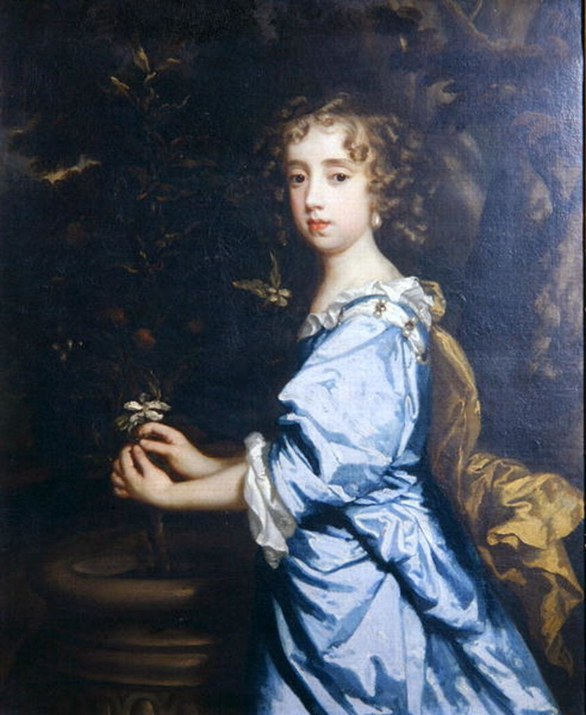 Detail of Isabella Dormer, aged 8, later Countess of Mountrath by Peter Lely