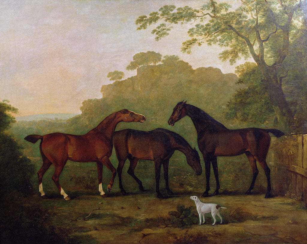 Detail of Hunters at Grass by John E. Ferneley