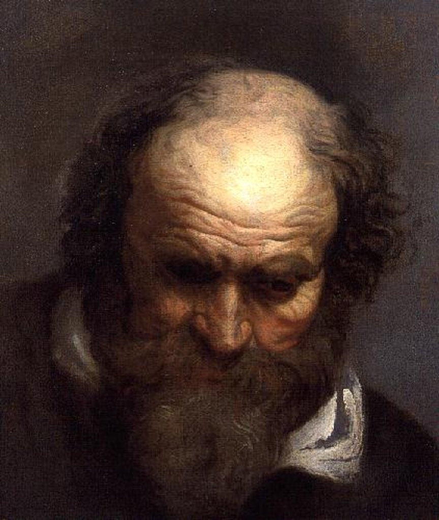 Detail of Head of an Old Man by Jacob Jordaens