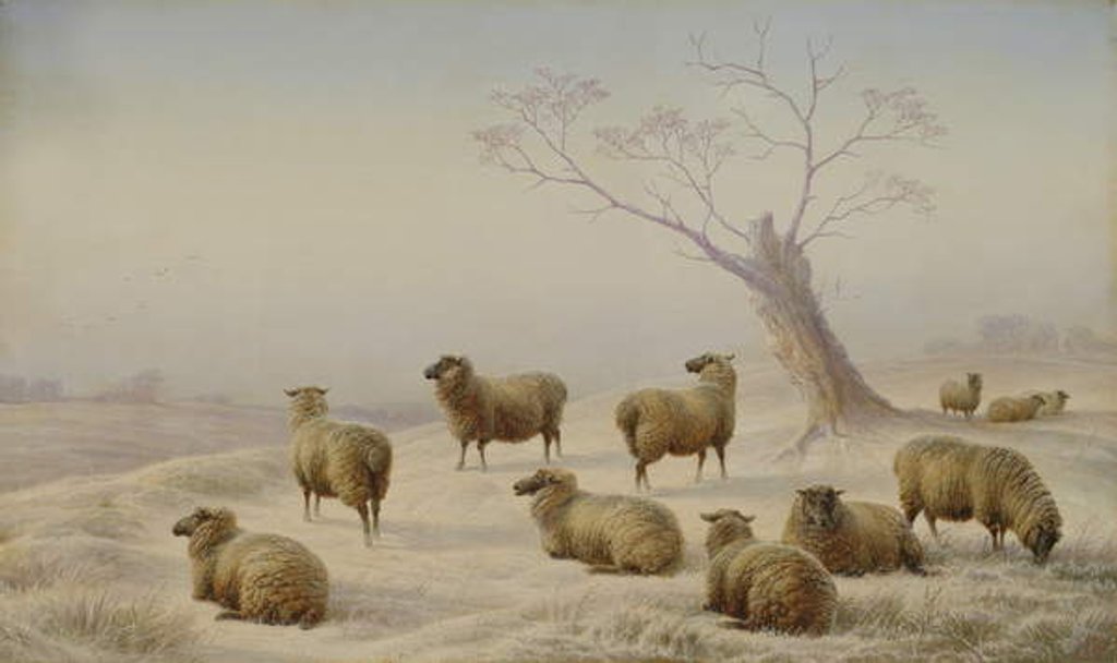 Detail of Sheep in Snow, 1880 by Charles Jones