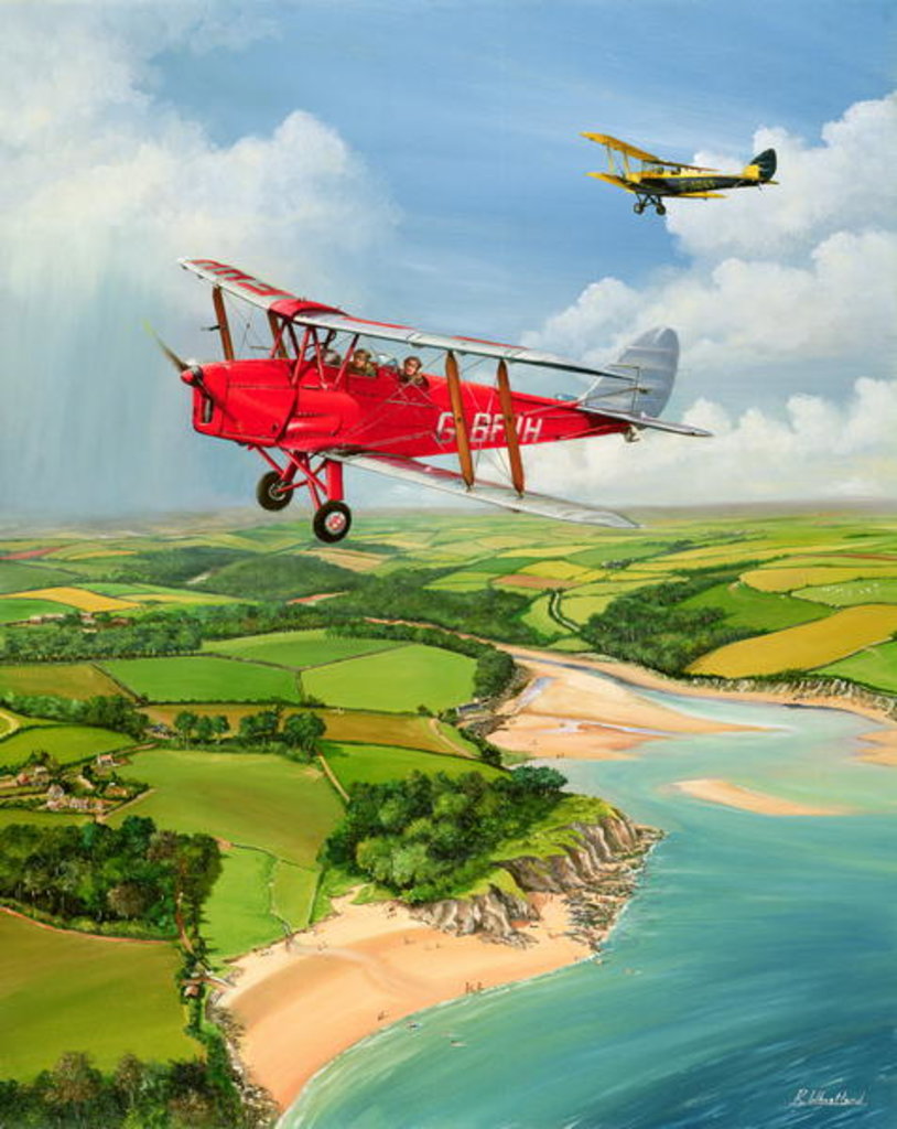 Detail of Mothecombe Moths, 1999 by Richard Wheatland